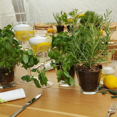 Gartenfest